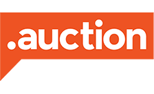 Registrazione dominio .auction