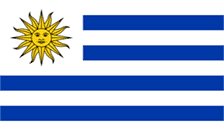 Registrazione dominio .com.uy