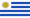 Registrazione dominio .com.uy